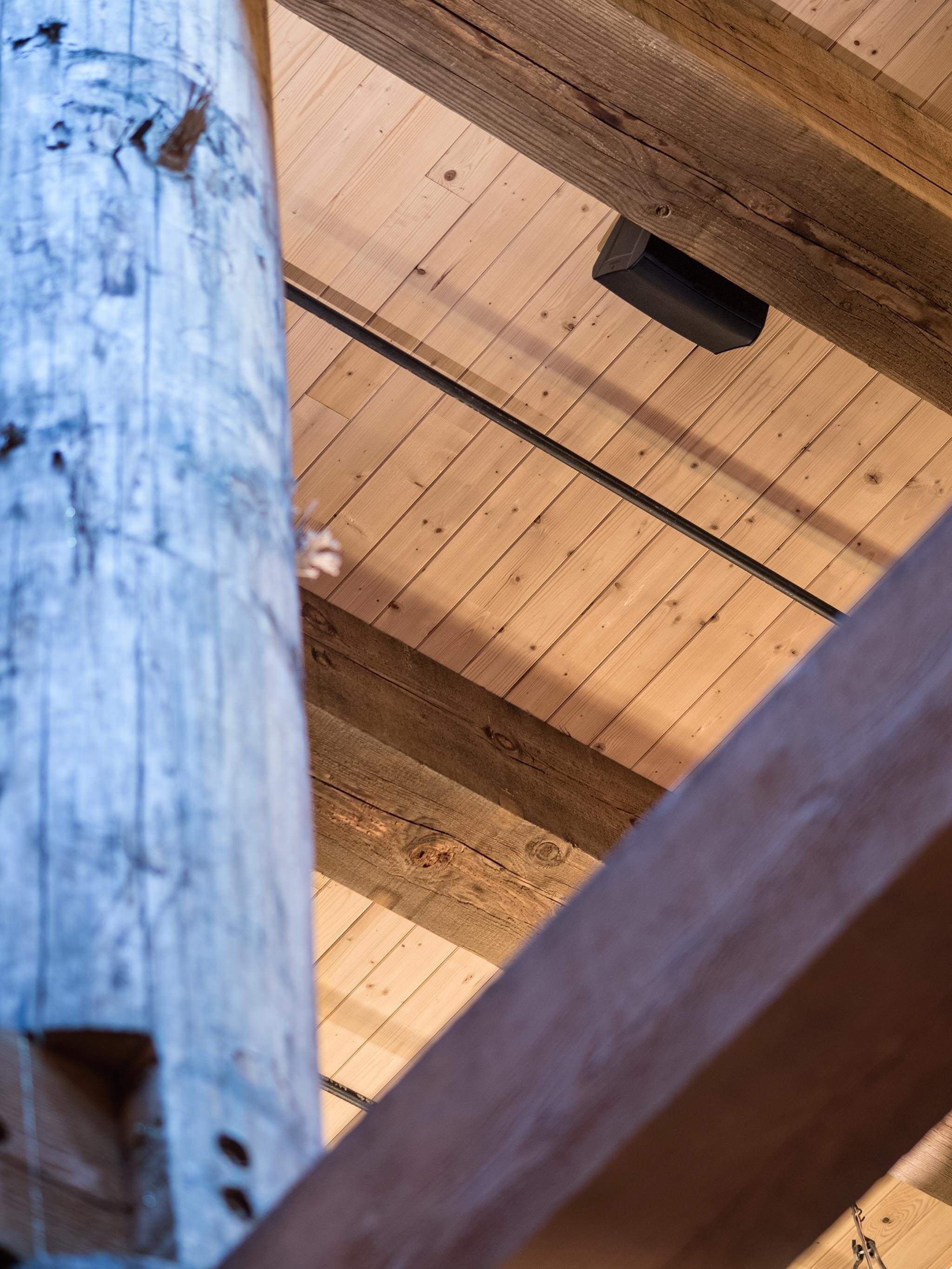 Ark+Encounter+29