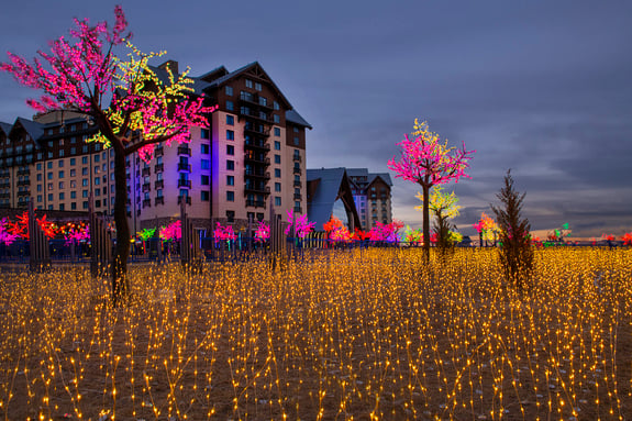 Gaylord Rockies